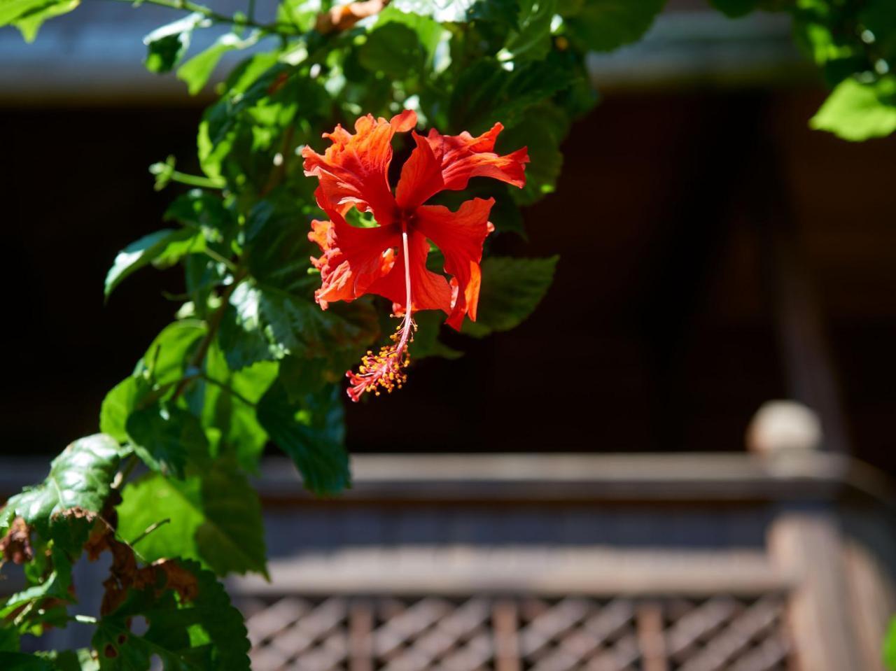 Jasri Bay Hideaway Hotel Buitenkant foto
